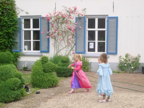 Bed & Breakfast Kasteel Ophemert