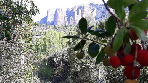 Apartamento Despertar En Riglos
