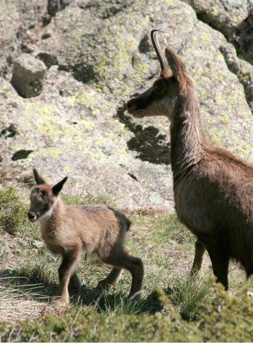 Bed & Breakfast Serrat Del Vent - Adults Only