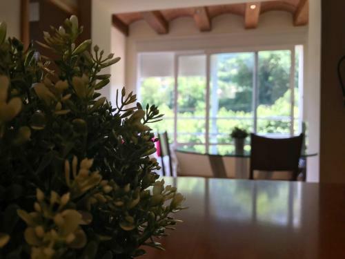 Apartamento Fant�stico Piso Ribes Freser
