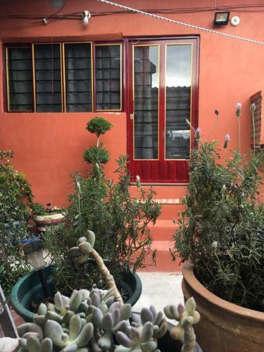 Mes�n De La Pineda