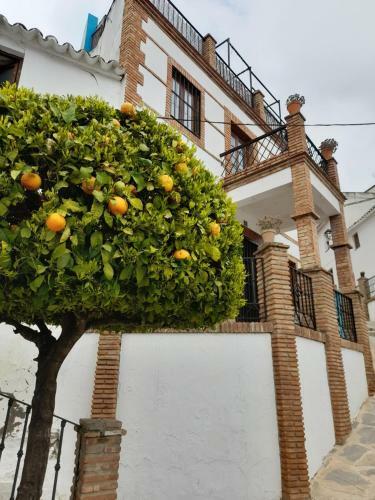 Beautiful 4-bed Townhouse With Splash Pool