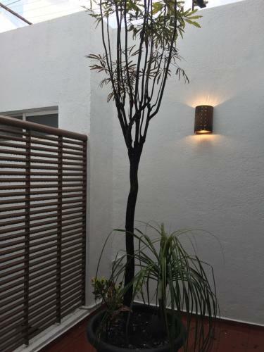 Bed & Breakfast Residence Las Trojes Cdmx