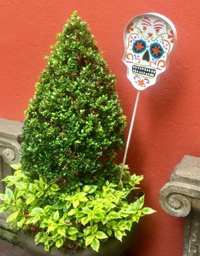 Bed & Breakfast Residence Las Trojes Cdmx