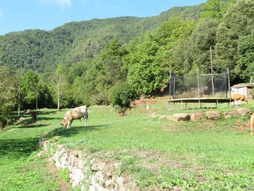 El Mol� De Baix