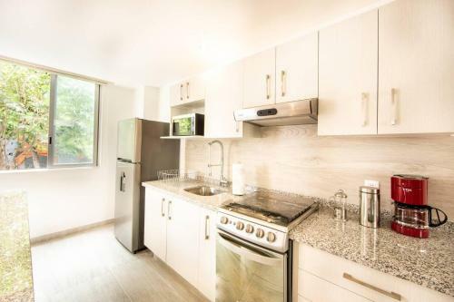 Sophisticated Park Venue Apartment Near Polanco