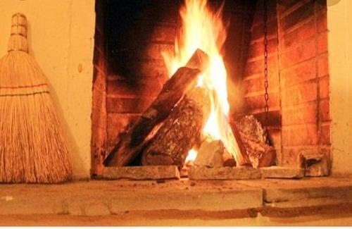 Don Mauricio Y Periquines