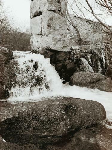 Don Mauricio Y Periquines