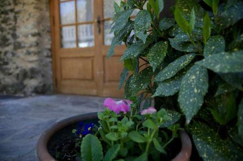 Agroturismo La Cabanya de Can Planes Un Petit Gran Espai