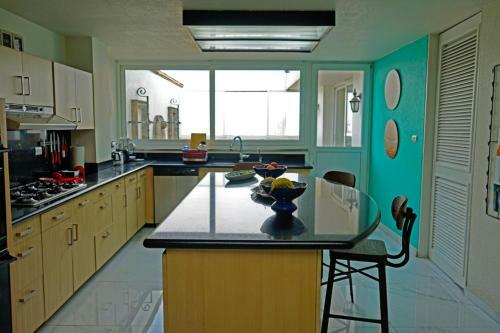 Penthouse In Polanco