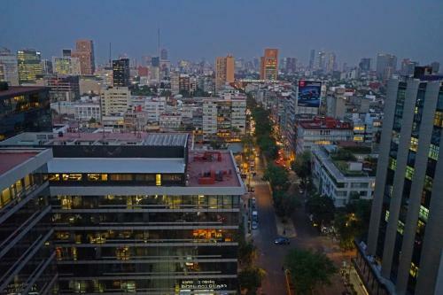 Penthouse In Polanco