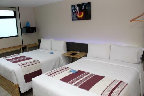 Hotel Anzures Express 158