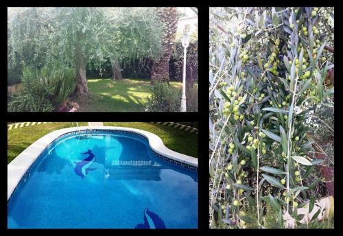 Villa 100 M From The Beach