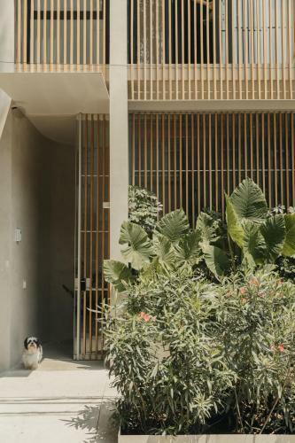 Bed & Breakfast Octavia Casa