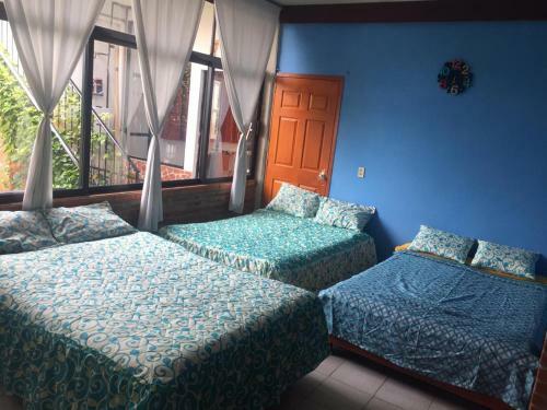 Alojamientos M�xico 1
