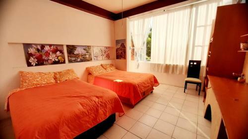 Alojamientos M�xico 1