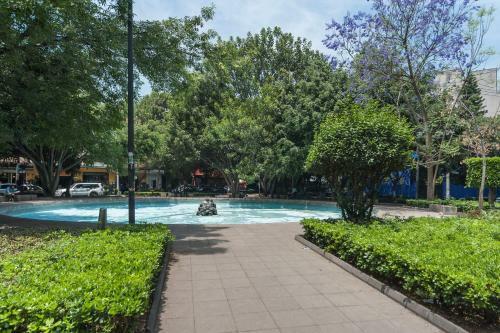 Condesa Df Wonderful Apartment