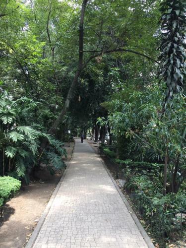 Condesa Df Wonderful Apartment