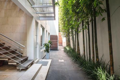Condesa Df Amazing And Luxury Apartments