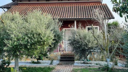 Villa Dream Cottage
