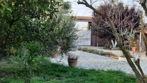 Villa Dream Cottage