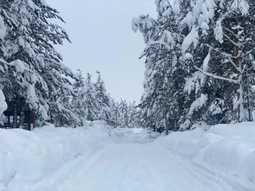 Vikendica Anamaria , Blidinje