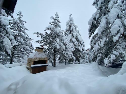 Vikendica Anamaria , Blidinje