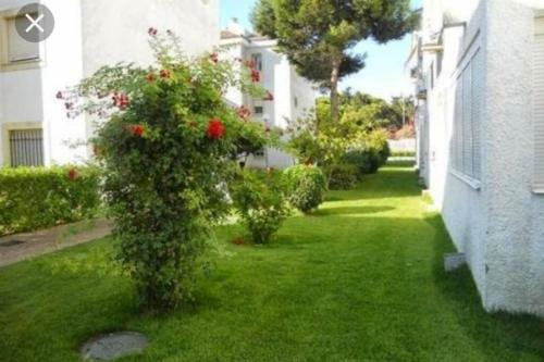 Acogedor Apartamento A 100 M. de Pinares Y Playa