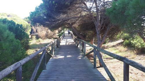 Acogedor Apartamento A 100 M. de Pinares Y Playa