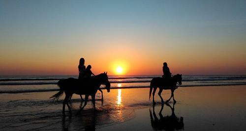 Costa Ballena Las Dunas - Vega Home Vacacional