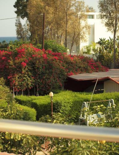 Hostal Moon-light Studio