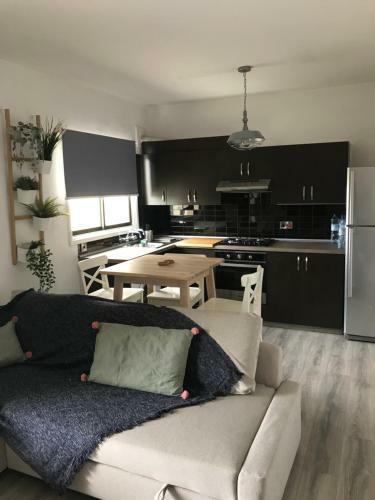Town Center Apartment