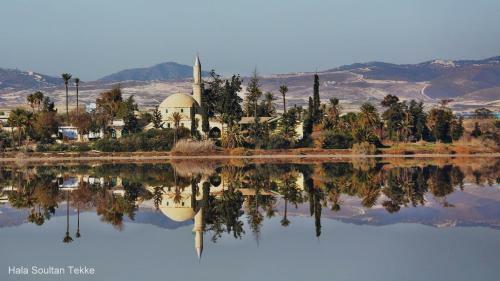 Alkaeos Holiday Rooms & Apartments
