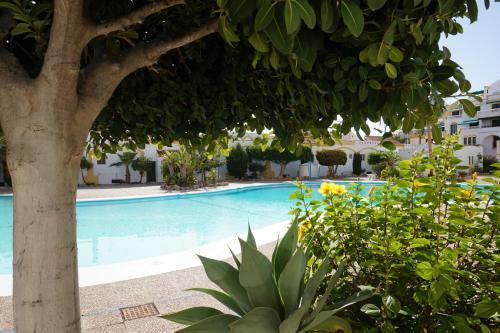 Apartamento Dandelion / Roquemar