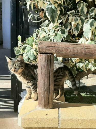 Apartamento Cristi