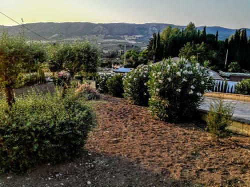 Casa Ines