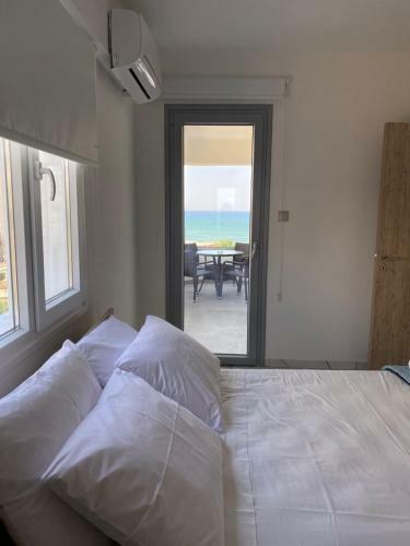Luxury Beachfront Apartment