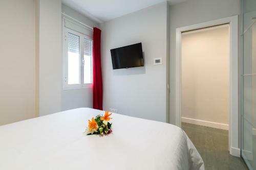 Apartamentos Circulo de Artistas