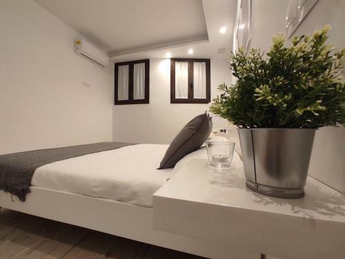 Rual Apartamento
