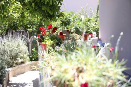 Guest House Narta