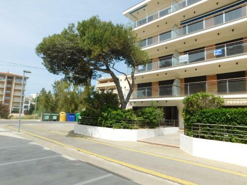 Apartamento Punta Pelegr�