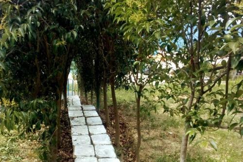 Spacious Beach House, Best View In Radhima, Kanul