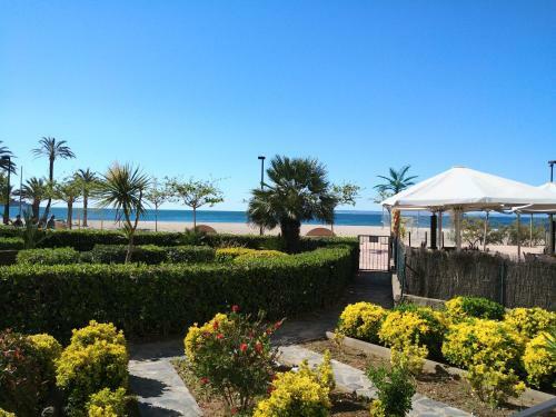 Apartament Oasis B3 Roses