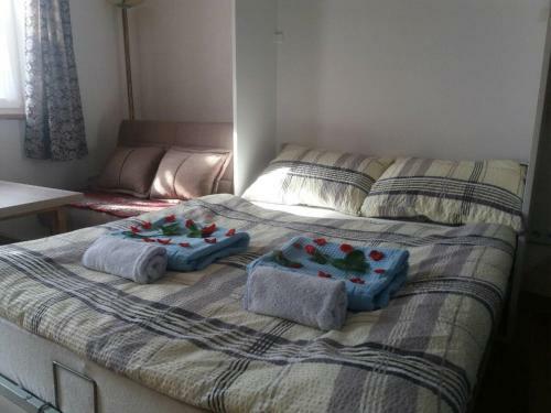 Apartments Alifakovac