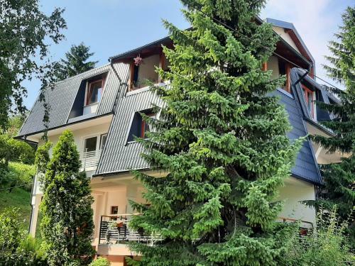 Guesthouse Hill