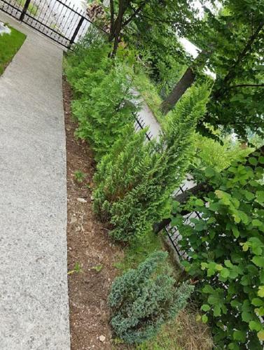 Ilidza Villa Nature