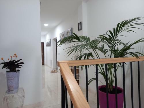 Colors Apartments