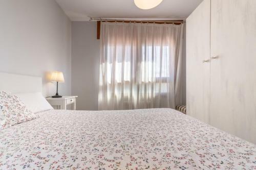 Apartamento Pirineo Aragon�s
