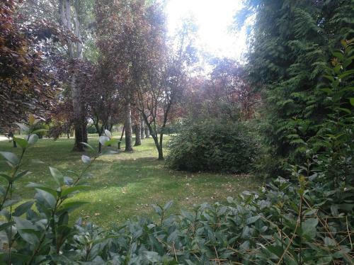 Apartamento Aparcamiento Privado Gratis Parque Jesuitas Y Centro,