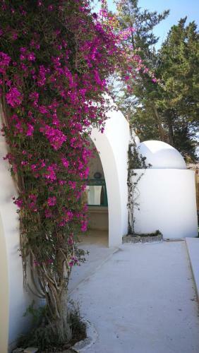 Nwt Villa Tower